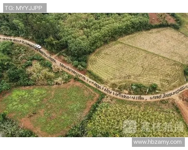 南京极限运动队中路突破战术解析与实战应用探讨