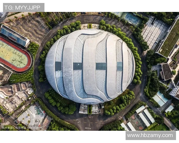 广州极限运动队的运营模式与发展趋势深度解析