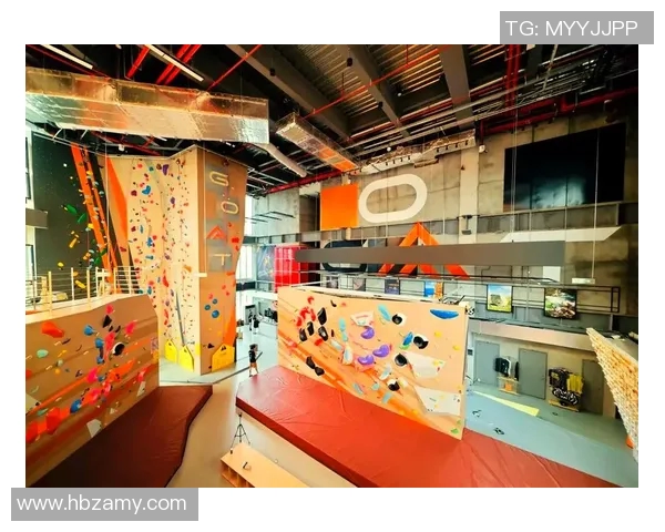 攀岩精神的传承与突破上海攀岩队的奋斗与成长之路