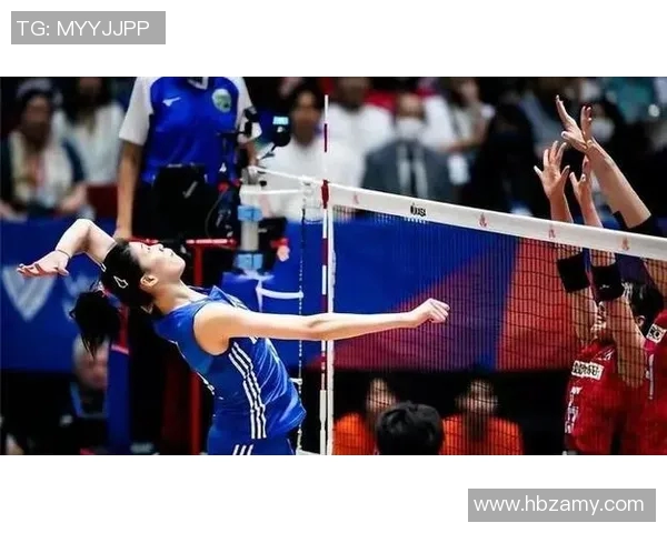 北京排球队灵活性引发热议球迷与专家观点交锋激烈